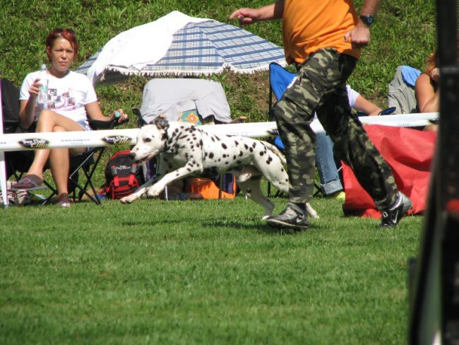 Agility, KD LJ, 01.09.2007 - foto povečava