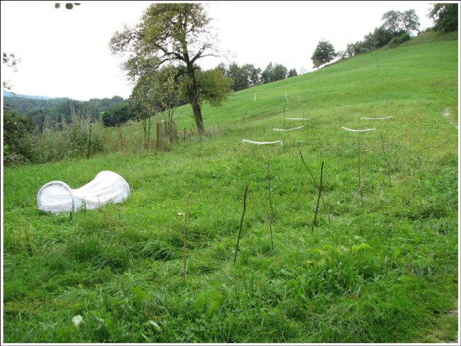 September 2007 - foto povečava