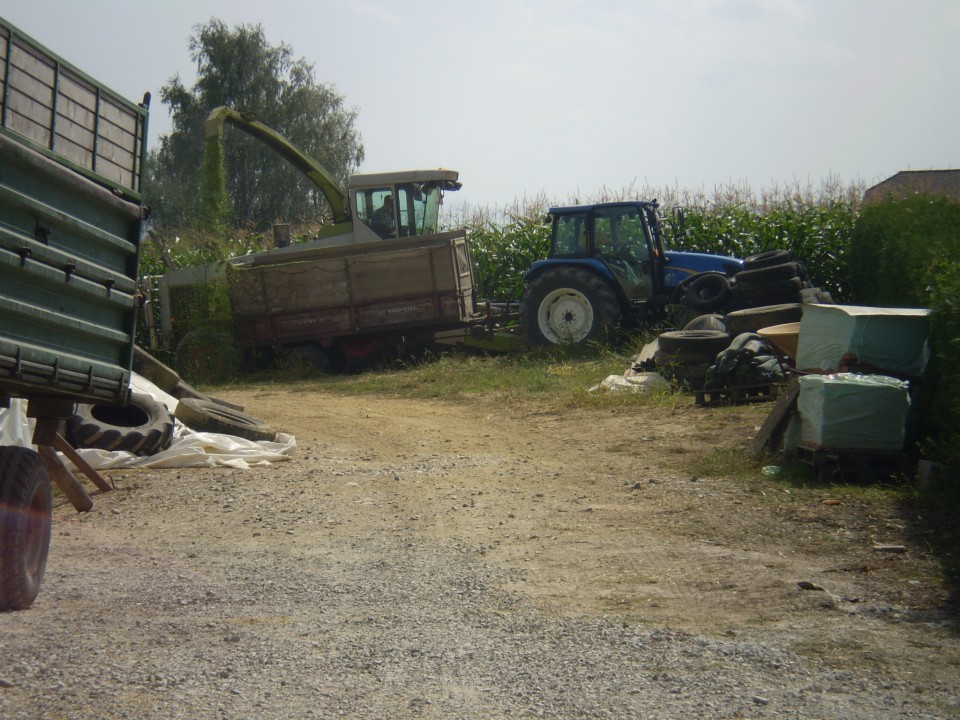 Siliranje 2008 - foto povečava