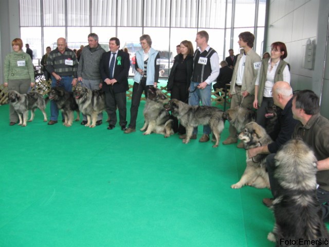 2009 CACIB Tromostovje  - foto