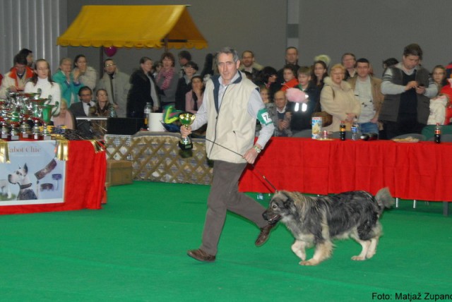 2009 CACIB Tromostovje  - foto