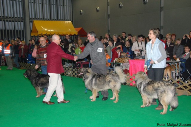 2009 CACIB Tromostovje  - foto