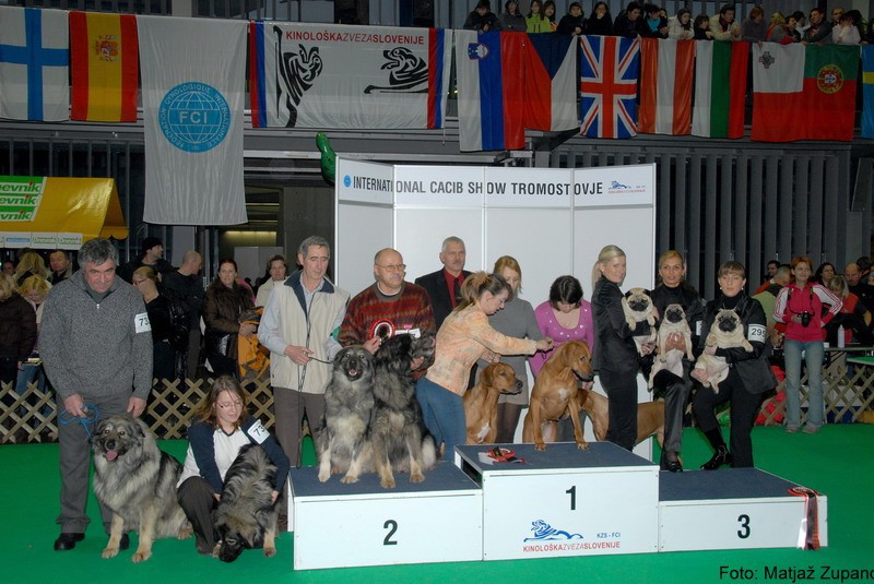 2009 CACIB Tromostovje  - foto povečava