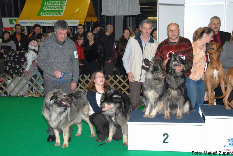 2009 CACIB Tromostovje  - foto povečava