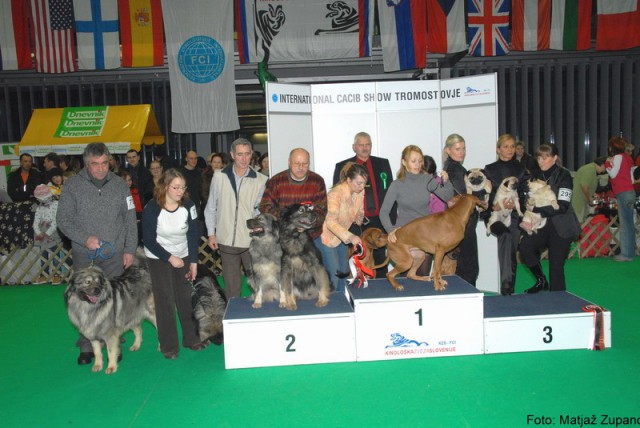 2009 CACIB Tromostovje  - foto