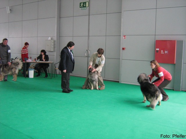 2009 CACIB Tromostovje  - foto