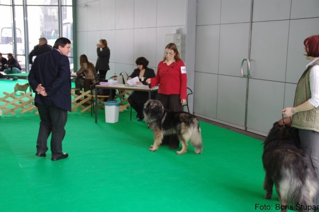 2009 CACIB Tromostovje  - foto povečava