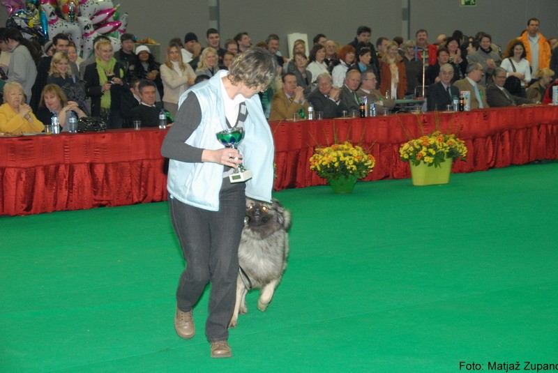 2009 CACIB Ljubljana  - foto povečava