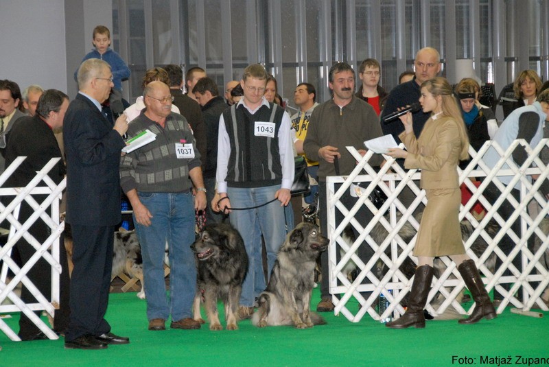 2009 CACIB Ljubljana  - foto povečava