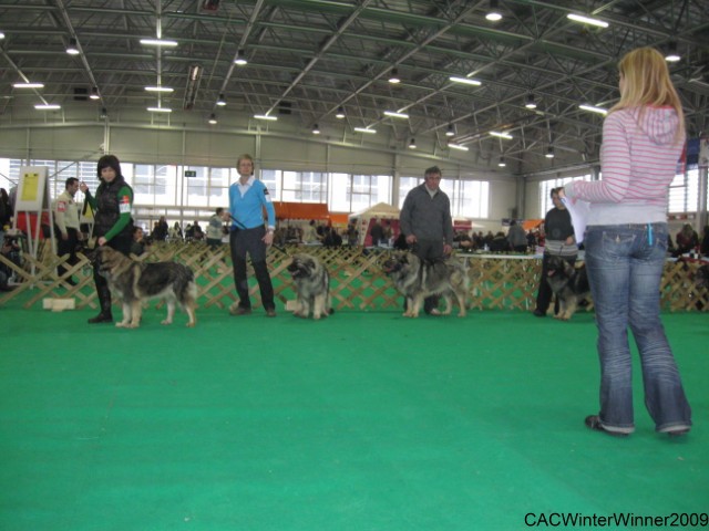 2009 CAC Winter Winner Celje - foto povečava