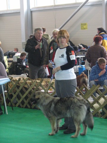 2009 CAC Winter Winner Celje - foto povečava