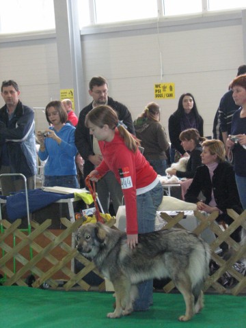 2009 CAC Winter Winner Celje - foto