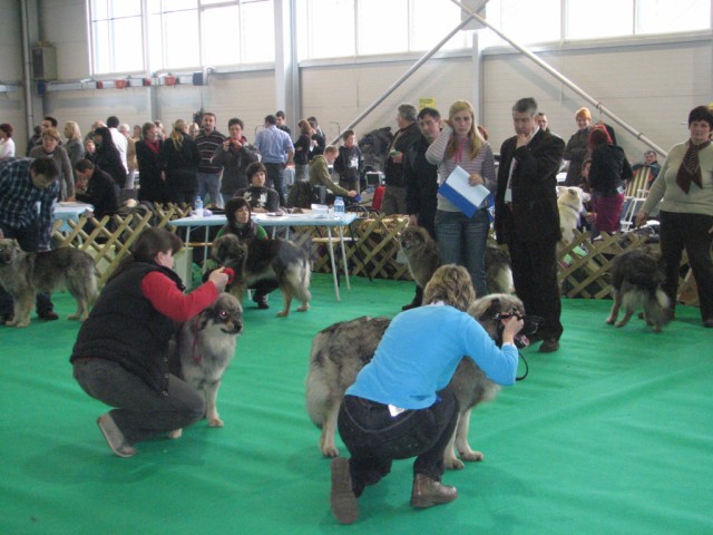 2009 CAC Winter Winner Celje - foto