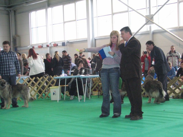 2009 CAC Winter Winner Celje - foto