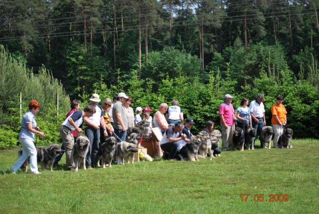 2009: Specialna razstava - foto