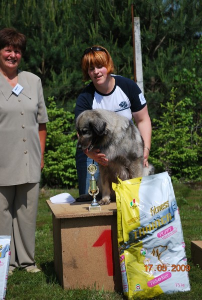 2009: Specialna razstava - foto povečava