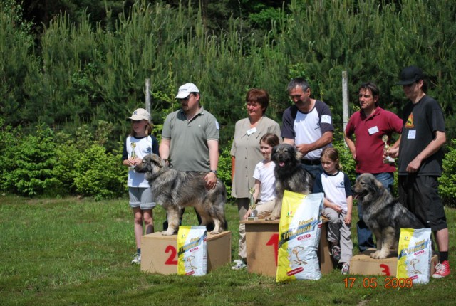 2009: Specialna razstava - foto