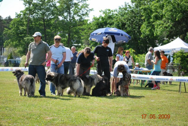 2009: Specialna razstava - foto