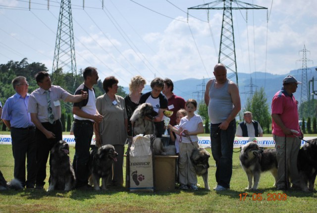 2009: Specialna razstava - foto