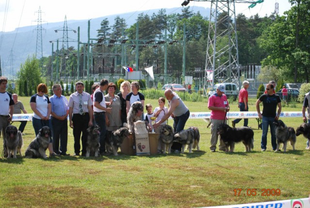 2009: Specialna razstava - foto