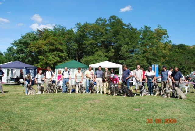 2009 CAC Trbovlje - foto