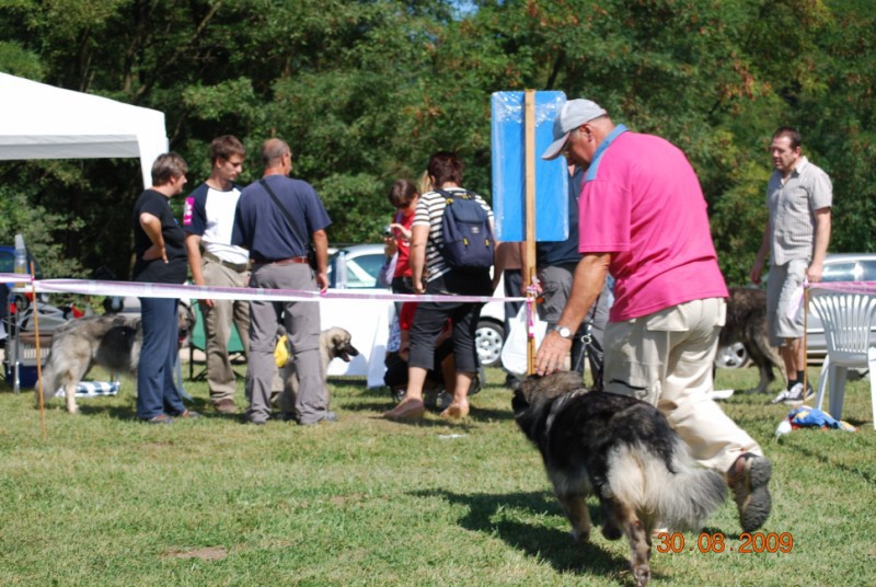 2009 CAC Trbovlje - foto povečava