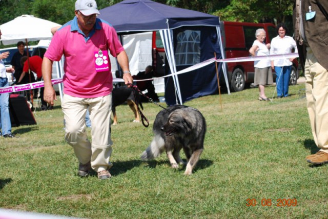 2009 CAC Trbovlje - foto