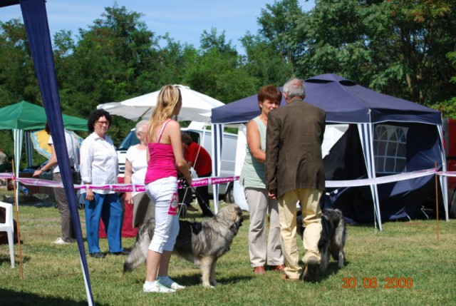 2009 CAC Trbovlje - foto