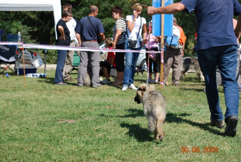 2009 CAC Trbovlje - foto povečava