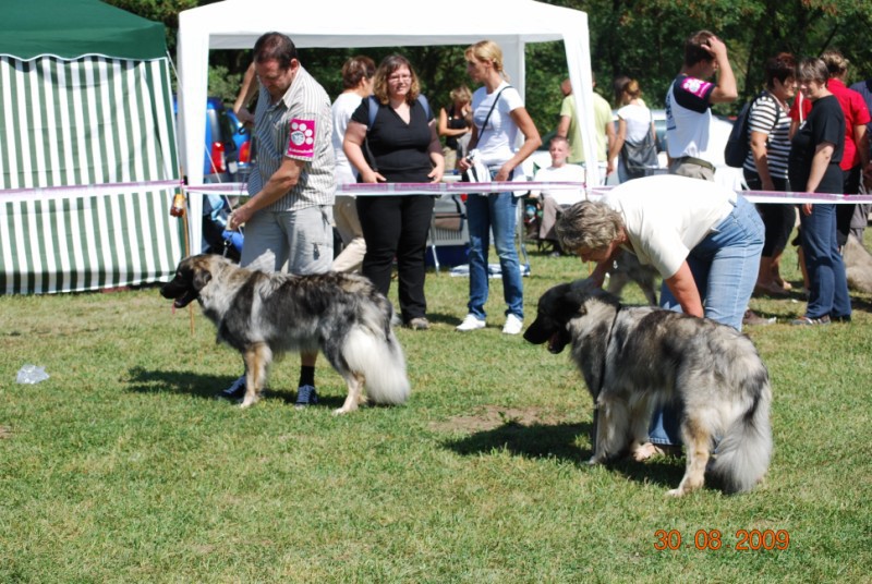 2009 CAC Trbovlje - foto povečava