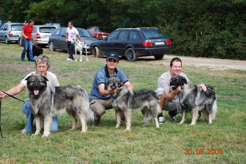 2009 CAC Trbovlje - foto povečava