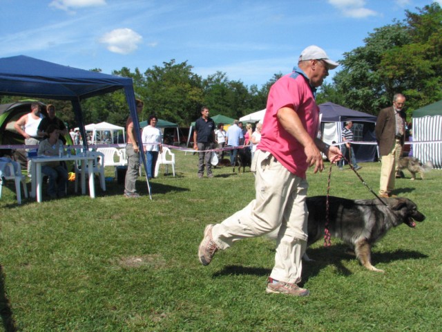 2009 CAC Trbovlje II - foto