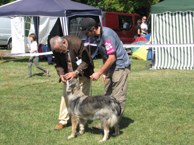 2009 CAC Trbovlje II - foto