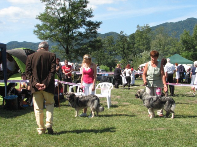 2009 CAC Trbovlje II - foto