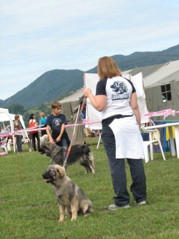 2009 CAC Trbovlje II - foto