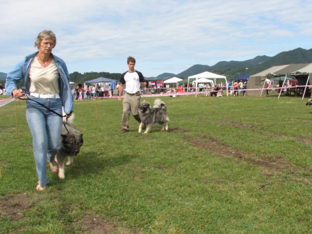 2009 CAC Trbovlje II - foto povečava