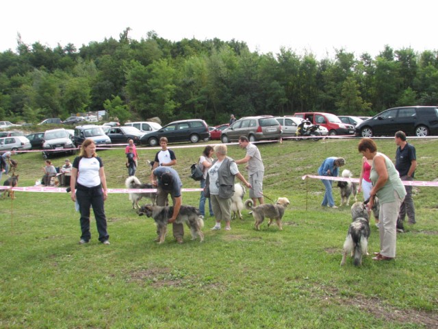 2009 CAC Trbovlje II - foto povečava