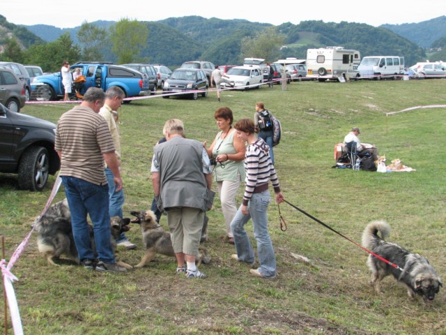 2009 CAC Trbovlje II - foto povečava