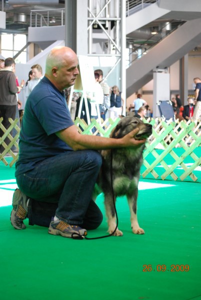 2009 CACIB Celje  - foto