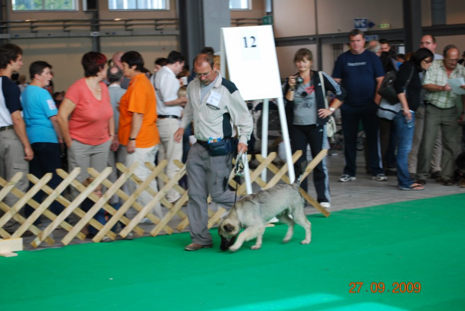 2009 CACIB Celeia - foto povečava