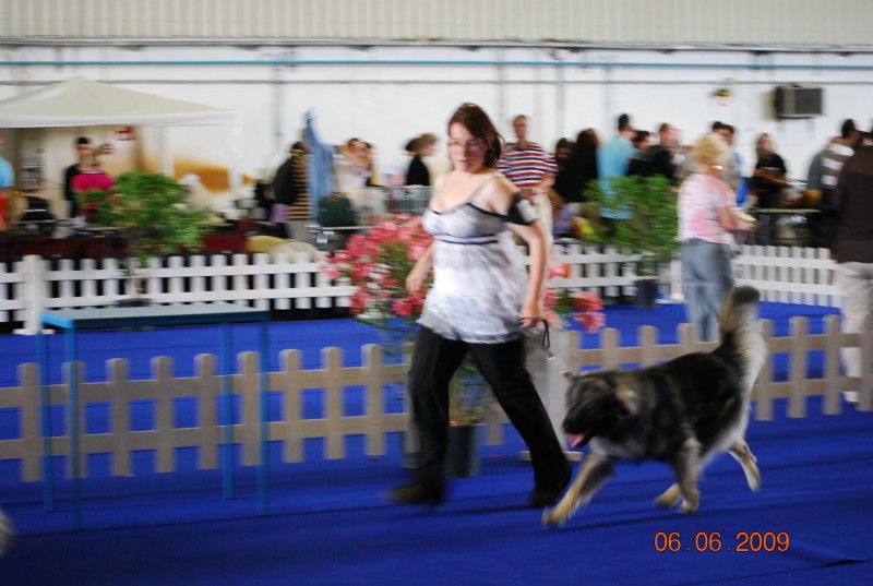 2009 CACIB Portorož - foto povečava