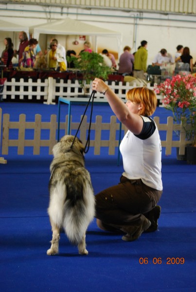 2009 CACIB Portorož - foto