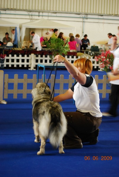 2009 CACIB Portorož - foto