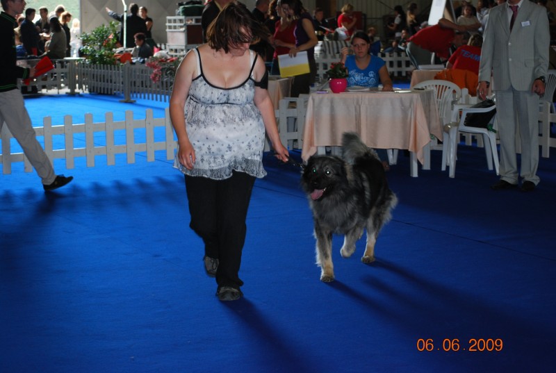 2009 CACIB Portorož - foto povečava