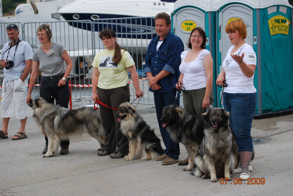 2009 CACIB Alpe Adria - foto povečava