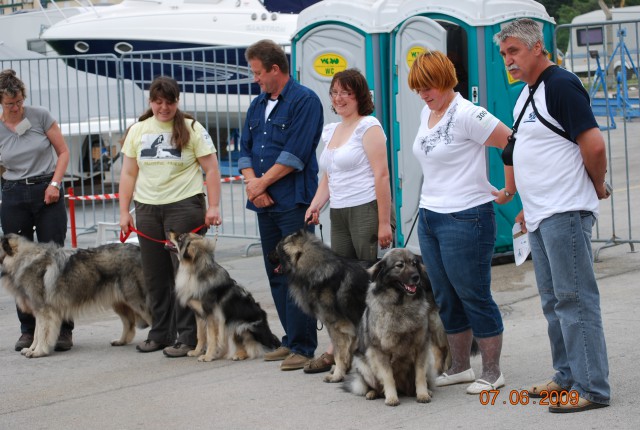 2009 CACIB Alpe Adria - foto