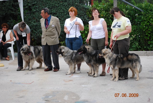 2009 CACIB Alpe Adria - foto