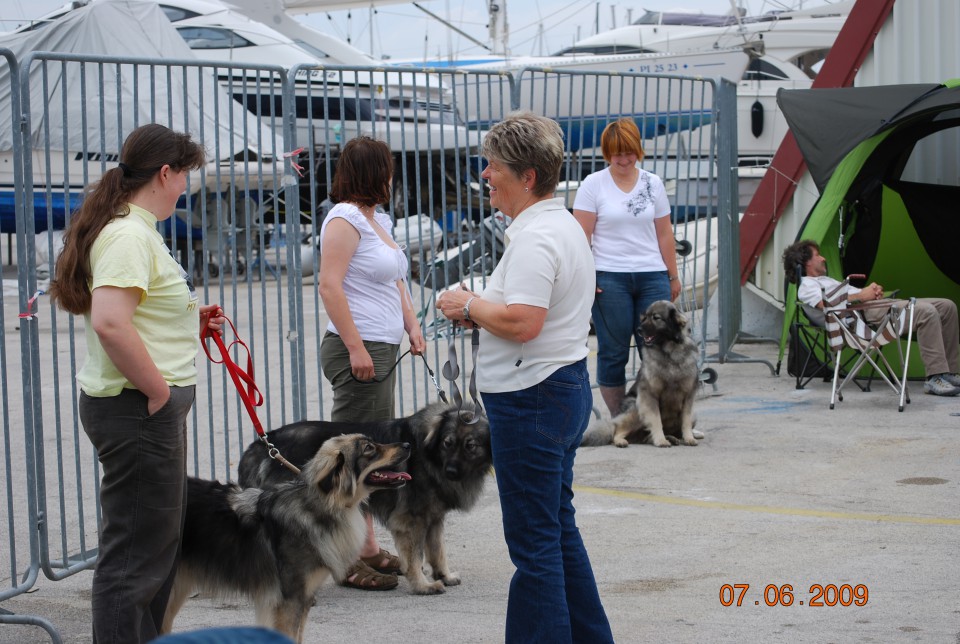 2009 CACIB Alpe Adria - foto povečava