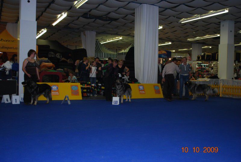 Svetovna razstava, Bratislava 2009 - foto povečava