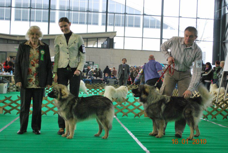 2010 CACIB Ljubljana - foto povečava